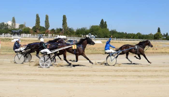 Dona Pilar a câştigat Premiul cailor de 3 ani