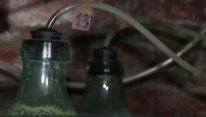 ISU Buzău, la început de sezon: Dioxidul de carbon, gaz emanat în urma fermentării vinului, este un inamic nevăzut