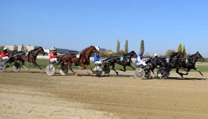 Final de sezon pe Hipodromul Ploiești