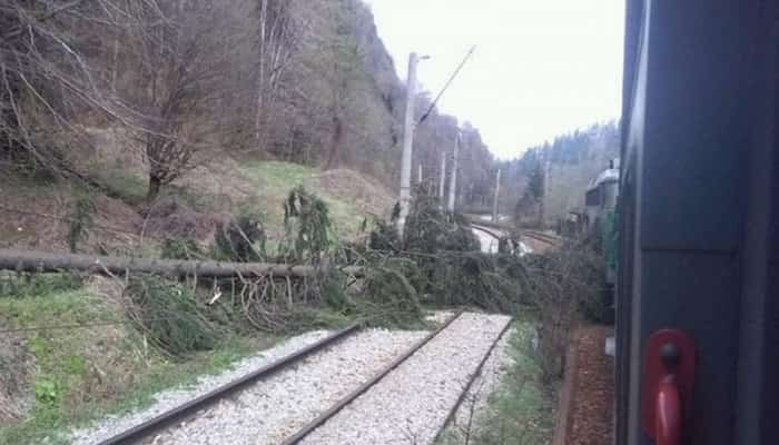 Trafic feroviar întrerupt în nordul Văii Prahovei, după ce linia de contact a fost ruptă de copaci căzuţi