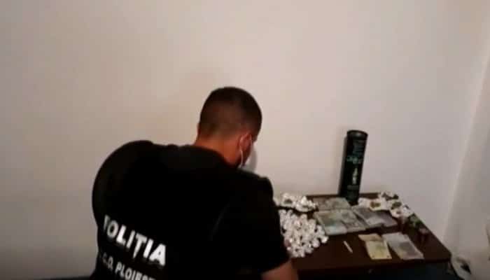 VIDEO | Percheziţii în Prahova, la suspecţi de trafic de cannabis. 65 de persoane sunt duse la audieri!