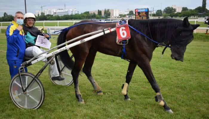 Armăsarul Dolce Dorel a câştigat „Premiul Arcul de Triumf”