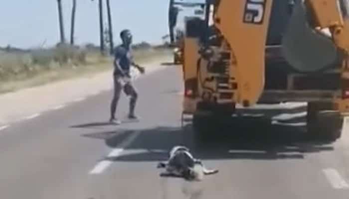 VIDEO | Un bărbat s-a ales cu dosar penal după ce a târât un câine legat de buldoexcavator