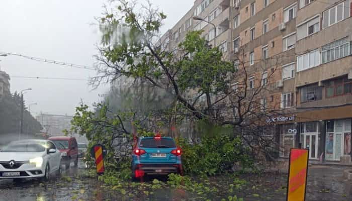 Un copac doborât de furtună a căzut peste o maşină aflată în trafic, în Oradea