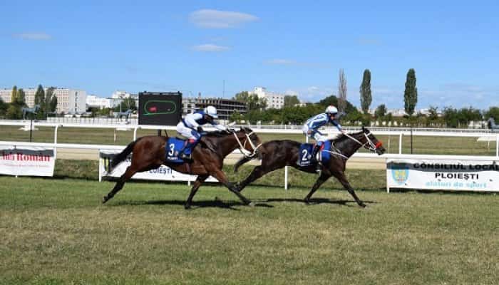 Iapa Storm Athena s-a impus în Premiul Jockey Club