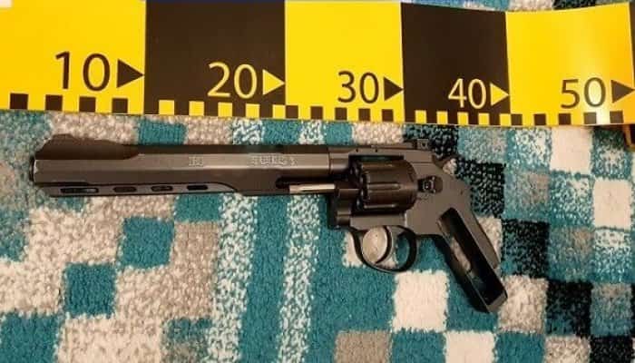 FOTO și VIDEO: Un pistol, cuțite și săbii găsite de polițiști la interlopii vizați de percheziții