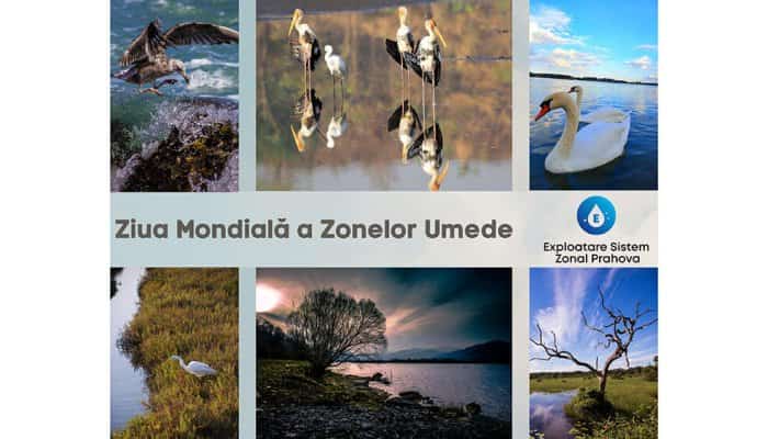ESZPH 2022: „Salvăm Zonele Umede pentru Oameni și Natură“