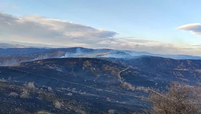 VIDEO Incendiu pe 500 de hectare, în Buzău. Au ars dealuri întregi din cauza “acțiunii intenționate a unei persoane iresponsabile”