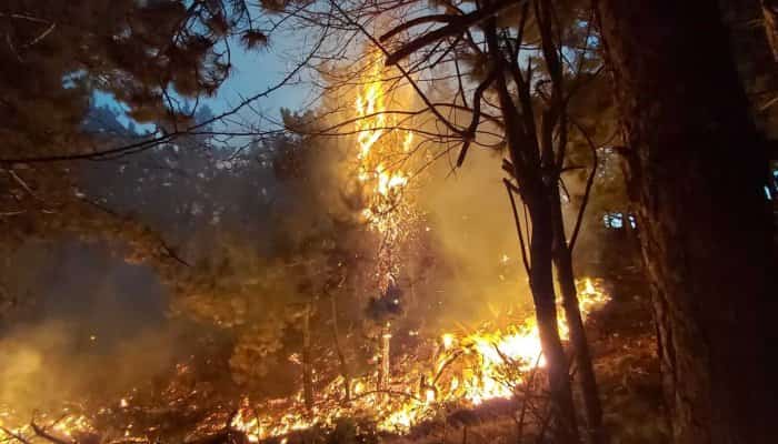 FOTO și VIDEO - Incendiu violent în Buzău. 56 ha de pădure și 300 ha de vegetație, în flăcări. Intervin pompieri din trei județe