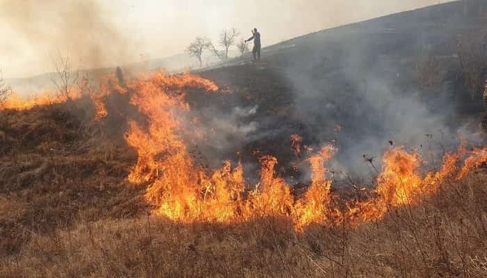 Număr record de incendii de vegetație, în județul Prahova. Doar 1% dintre vinovați ajung să dea socoteală