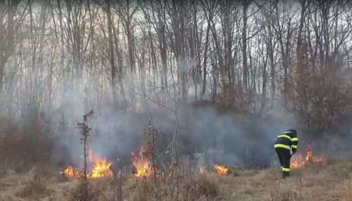 incendiu vegetație pădure