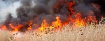 Constanţa: Peste 76 hectare de teren cu vegetaţie uscată au fost cuprinse de flăcări în ultimele 24 de ore