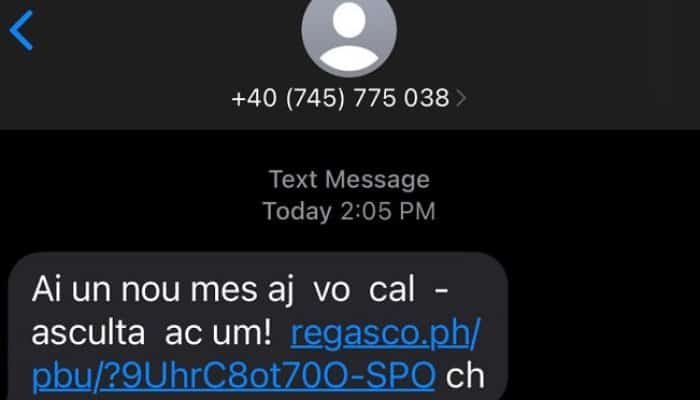 atacuri cibernetice sms