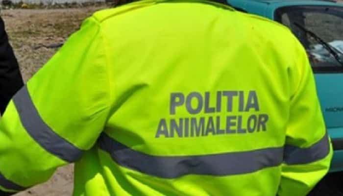 poliția animalelor prahova