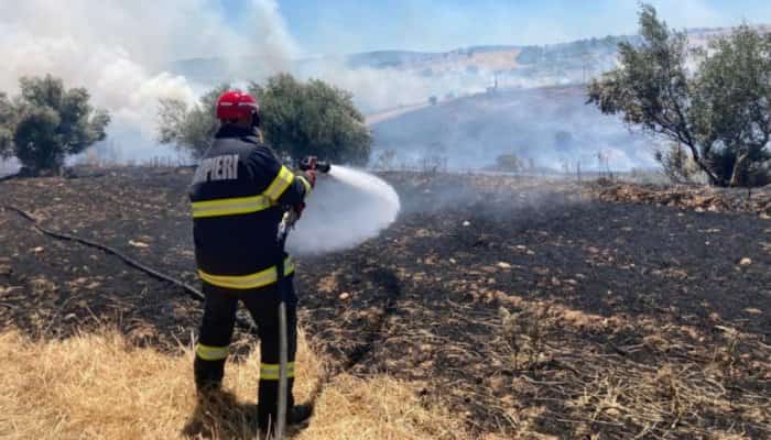 Incendiu devastator în Grecia, un oraş întreg a fost evacuat