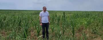 Trei proiecte locale care pot rezolva probleme cauzate de secetă, în județul Buzău
