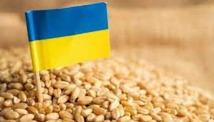 Preşedintele Volodimir Zelenski afirmă că s-a exportat un milion de tone de produse agricole