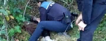 Femeie găsită de polițiști, după o oră de căutări, într-o pădure din Cărbunești. Bătrânei i se făcuse rău