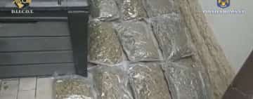 VIDEO 🎦 Flagrant DIICOT la Ploiești. Procurorii au găsit 500 de grame de cocaină și 28 de kilograme de canabis