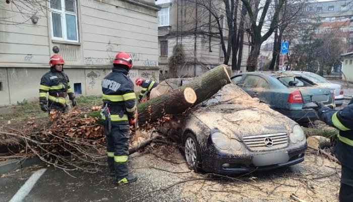 VIDEO 🎦 Patru mașini parcate pe o stradă din Buzău au fost avariate de un copac doborât de vânt
