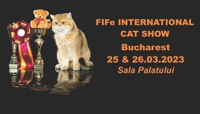 SofistiCAT - Salonul Felin Internaţional Bucureşti va avea loc la Sala Palatului în zilele de 25 şi 26 martie