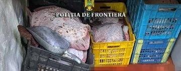 Trei nave bulgărești cu zeci de tone de calcan și de rechin de Marea Neagră, pescuiți ilegal, prinse în flagrant de români