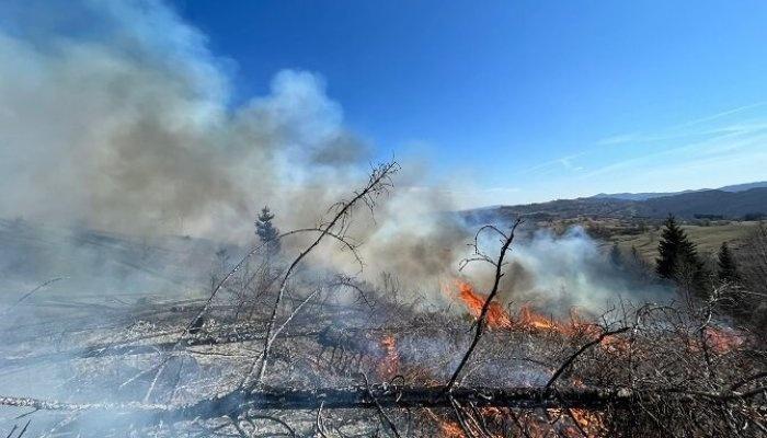 incendiu de vegetație la comarnic