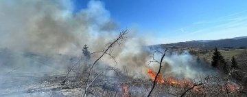 Incendiu de vegetație pe 10 hectare, în zona Comarnic