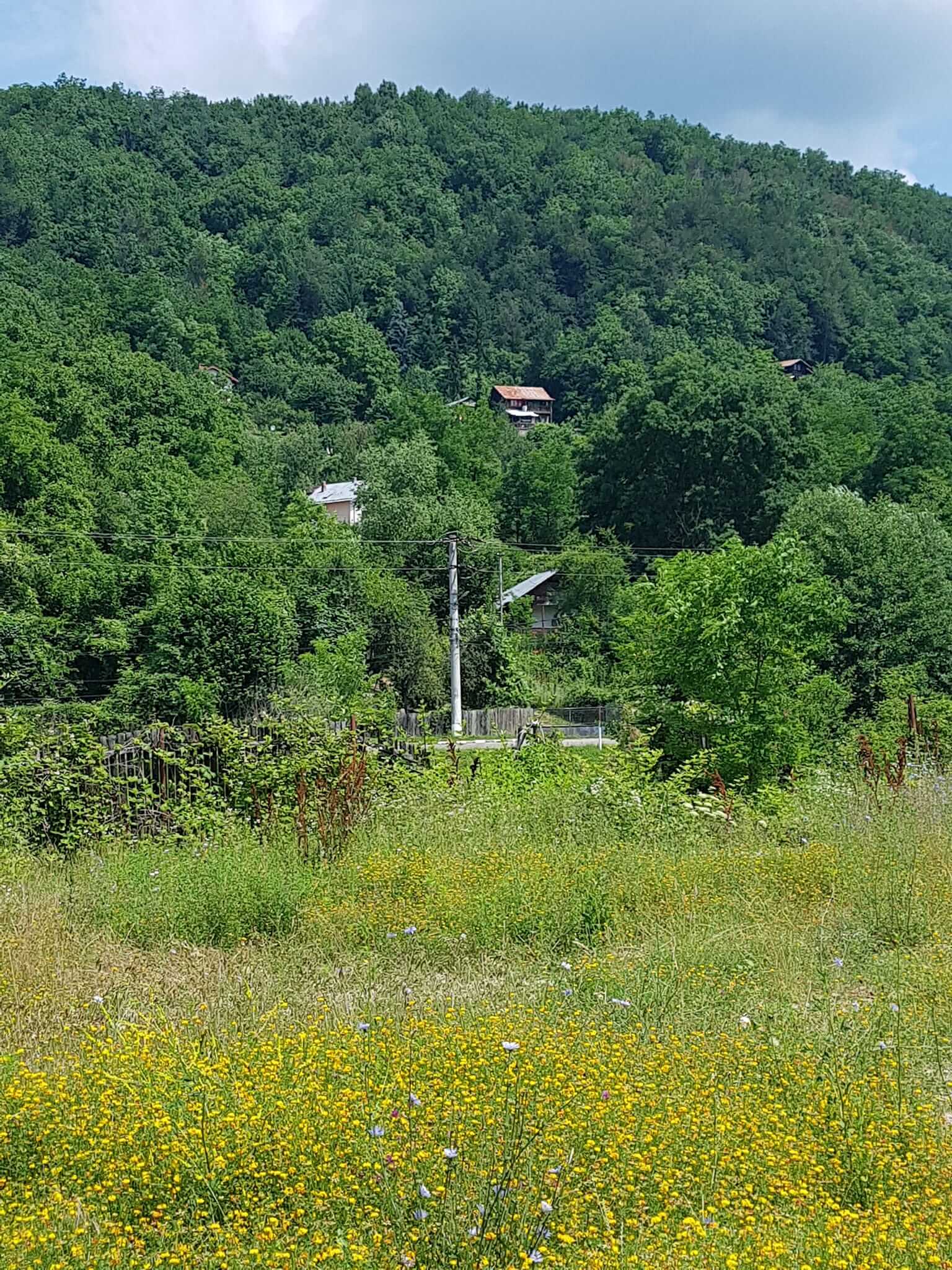 băile telega în paragină