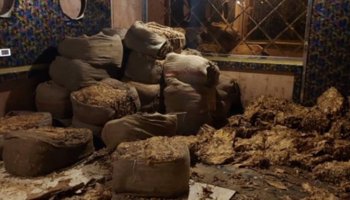 VIDEO | Aproape 4 tone de tutun, descoperite de polițiștii din Prahova la mai mulți suspecți de contrabandă