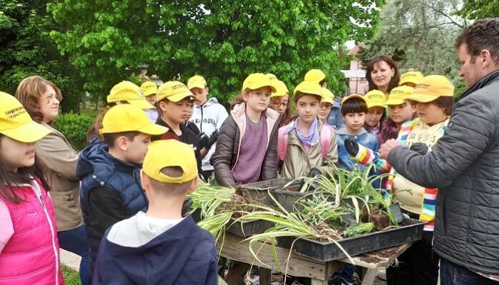 Săptămâna Verde proiect pedagogic sgu