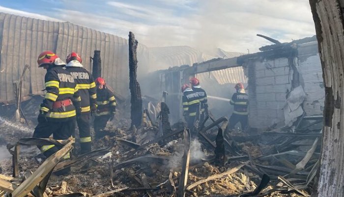 a șasea victimă incendiu ferma dacilor