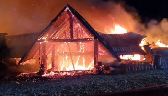 dispăruti incendiu ferma dacilor