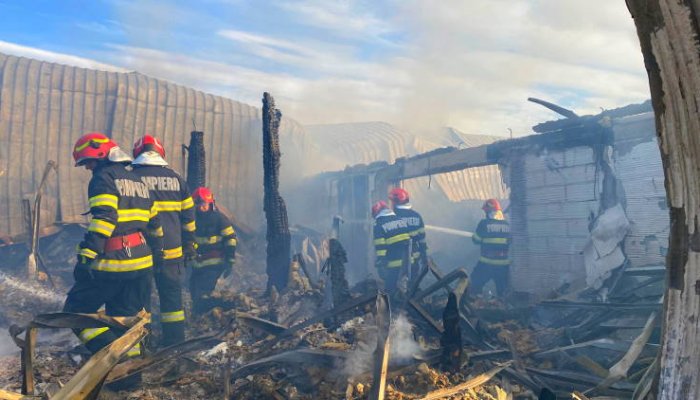 INCENDIU FERMA DACILOR | Încă două cadavre carbonizate au fost găsite de pompieri