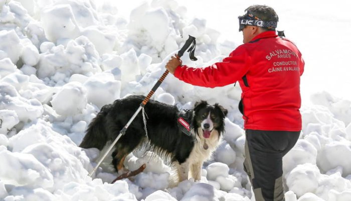 Lucrătorii de la Salvamont au avut peste 60 de intervenții în ultimele 24 de ore