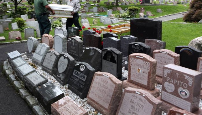 Cimitir pentru animale de companie, anunțat pentru 2024 în Cluj