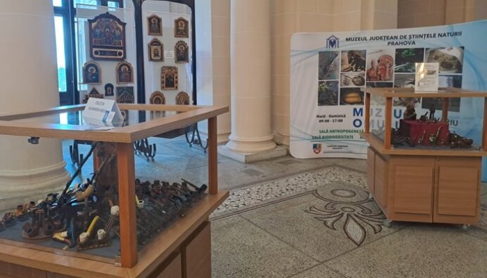 Povestea obiectelor vechi expoziție colecționari