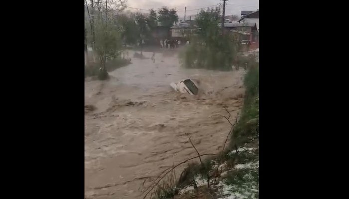 cod portocaliu  furtună