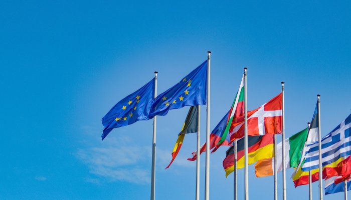 Lista secțiilor de vot din străinătate. Cu ce acte puteți vota în diaspora