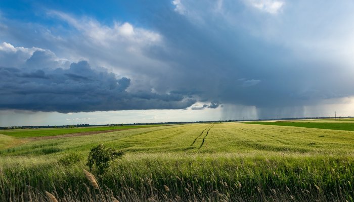 METEO Temperaturi record, urmate de furtuni