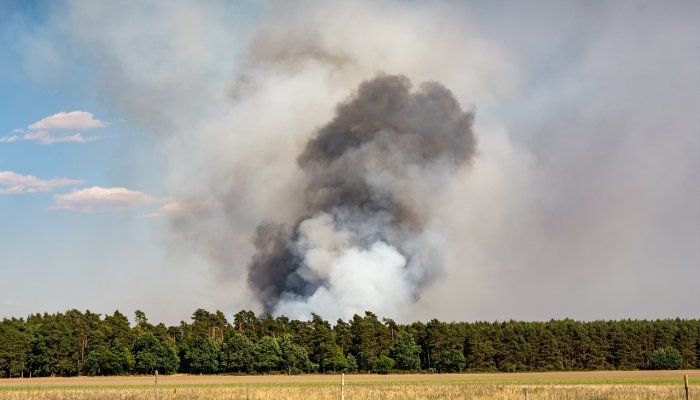 Record de incendii de vegetație. Ce efecte au asupra mediului