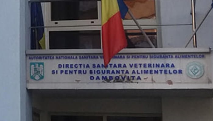 amenzi dsv dâmbovița