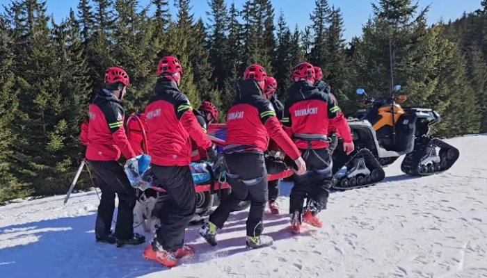 intervenții salvamont