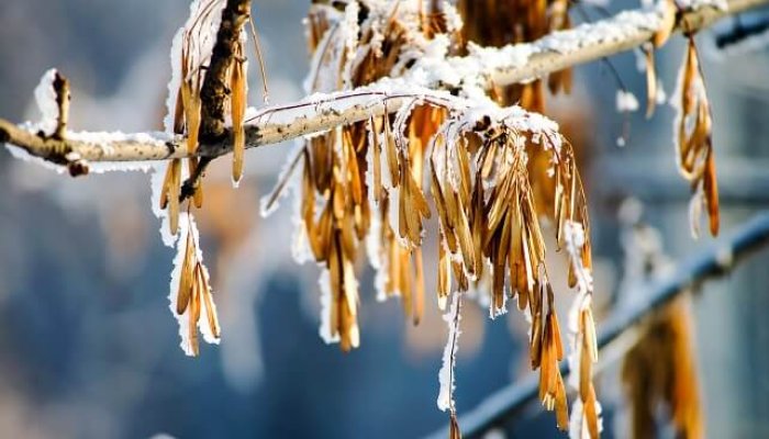 ger informare meteo