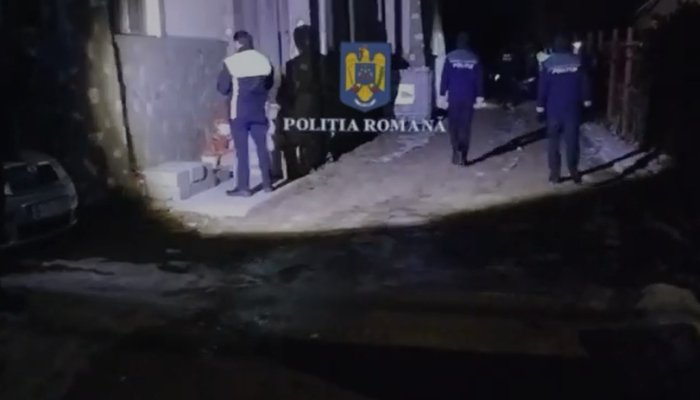 perchezitii furt de lemne