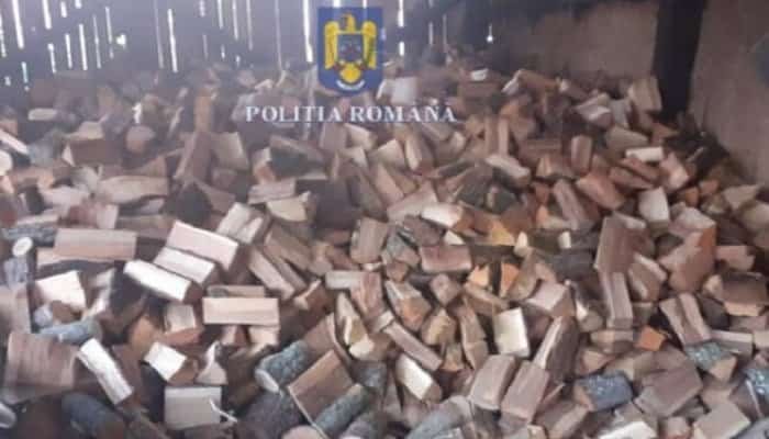 SCUTUL PĂDURII bilant martie