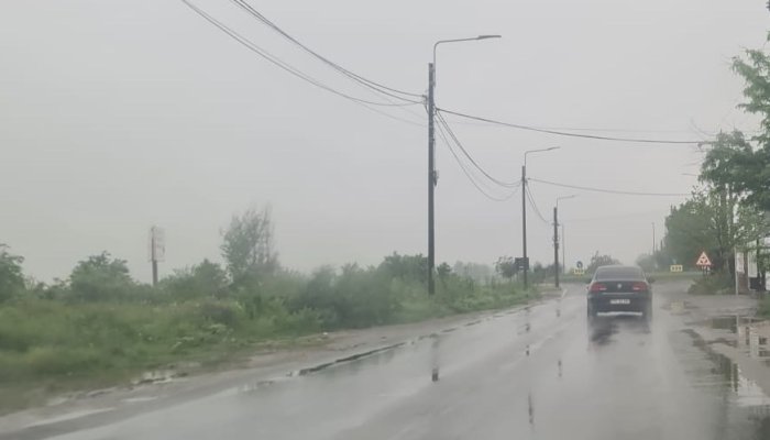 vreme rea