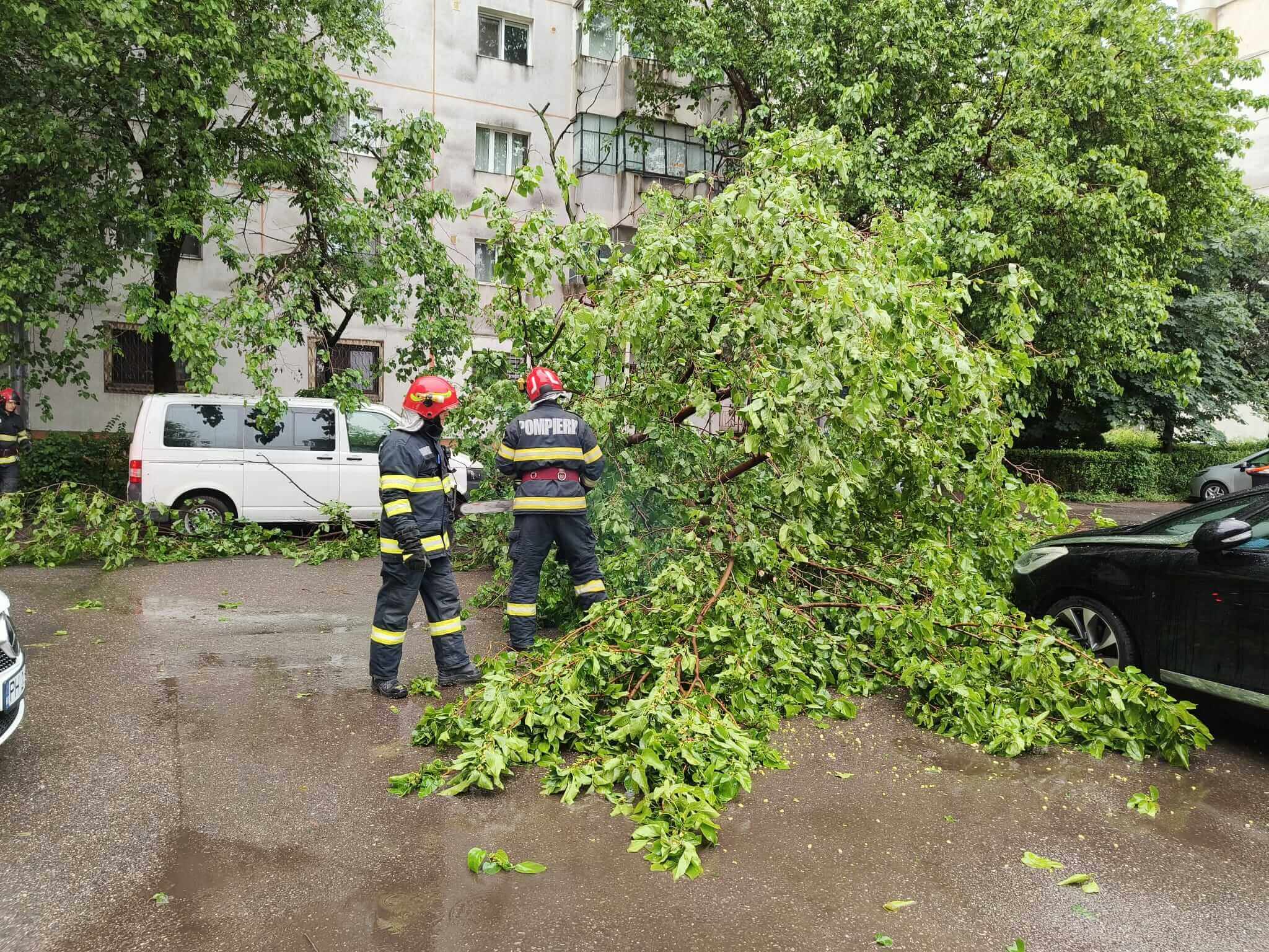 intervenții inundații 
