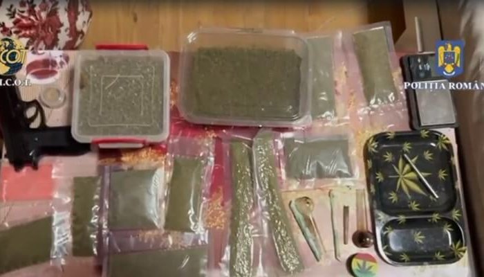 droguri percheziții diicot