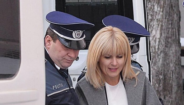 elena udrea cerere eliberare